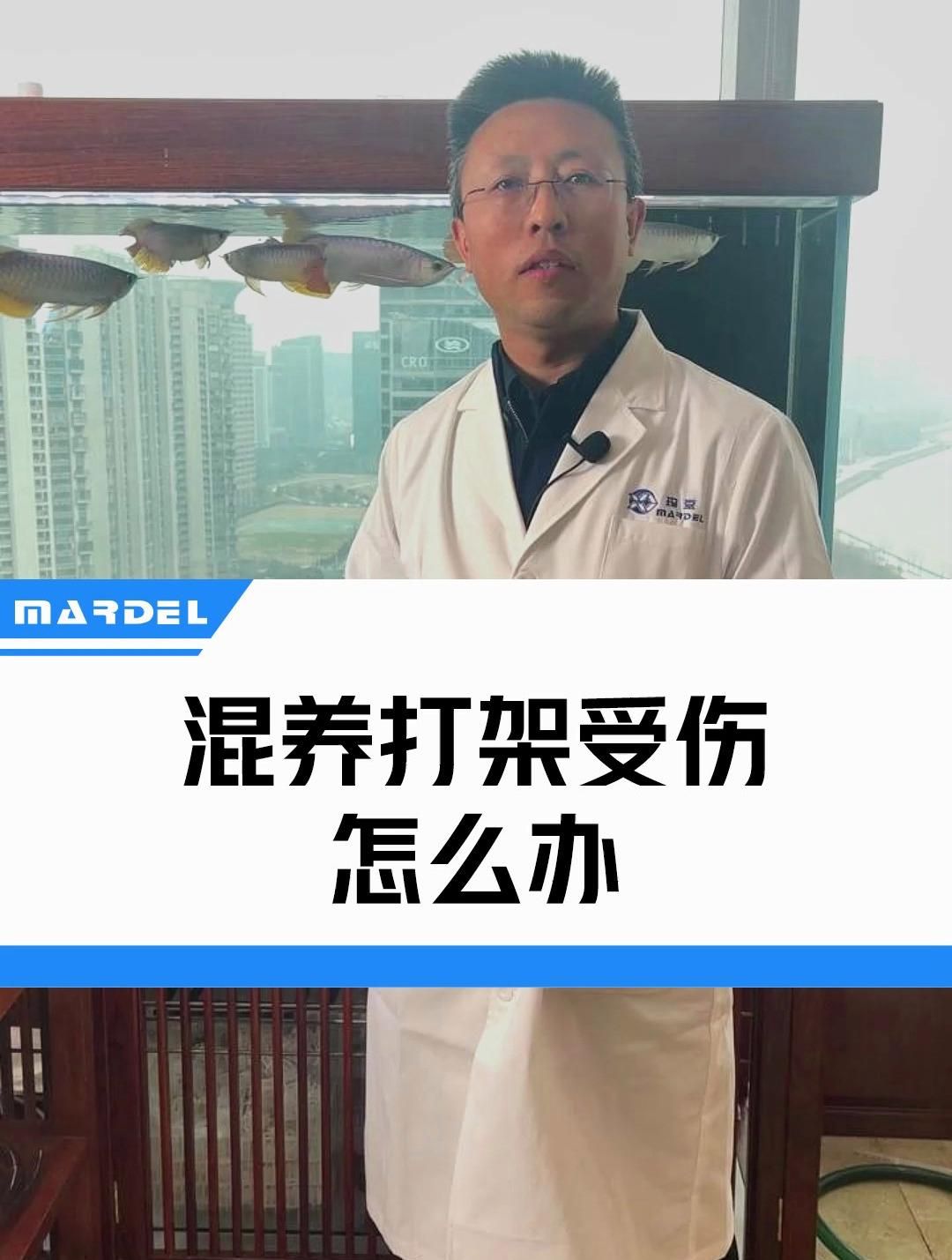 龙鱼打架后多久会恢复，如何判断龙鱼打架后的伤情？