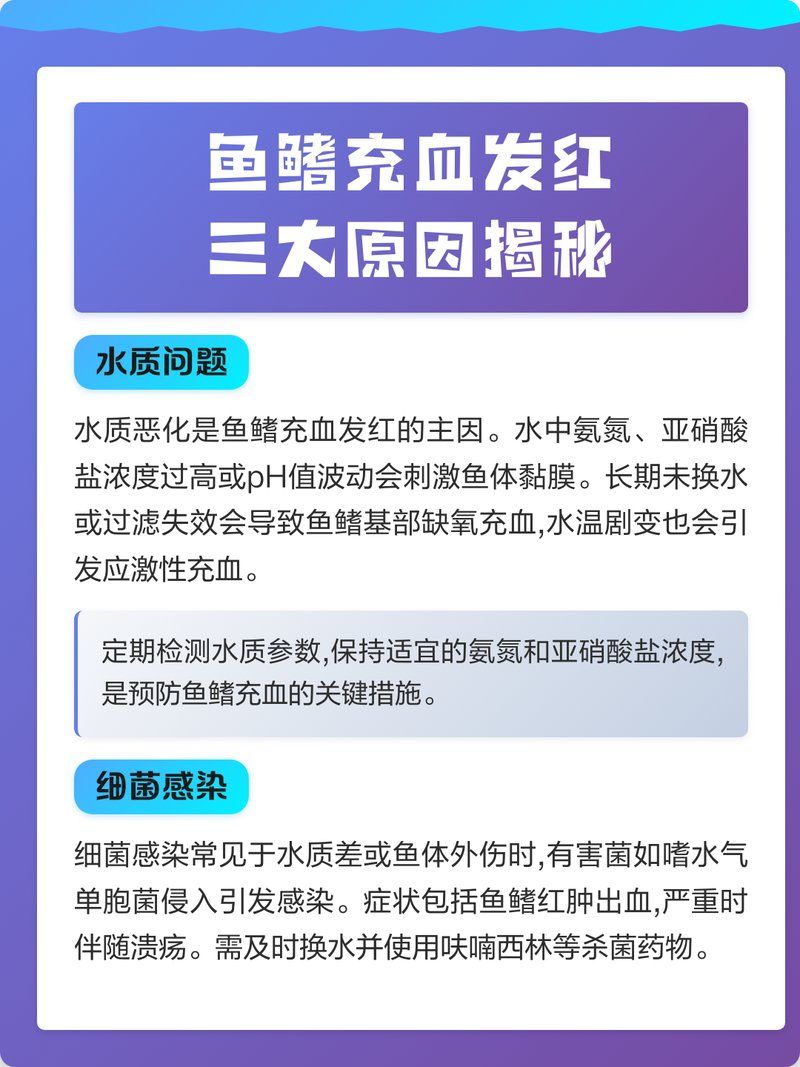如何判斷魚鰭充血是由哪種病因引起，如何判斷魚鰭充血