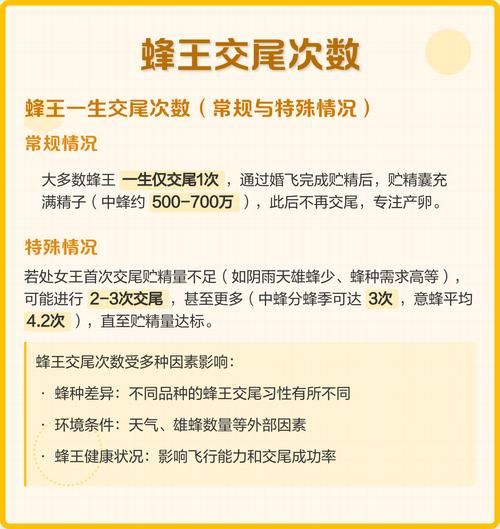 能否提供更詳細(xì)的交尾過程圖解，動(dòng)物交尾行為對(duì)比表