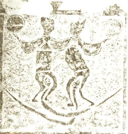 能否提供更詳細(xì)的交尾過程圖解，動(dòng)物交尾行為對(duì)比表