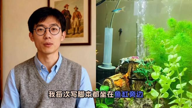 家里養(yǎng)龍魚養(yǎng)幾條好風水，養(yǎng)龍魚有哪些風水禁忌，如何判斷龍魚是否健康