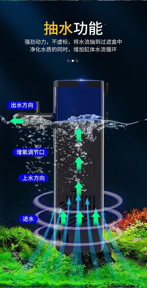如何預防魚再次缺氧翻身，如何預防魚再次缺氧翻身，預防魚再次缺氧翻身