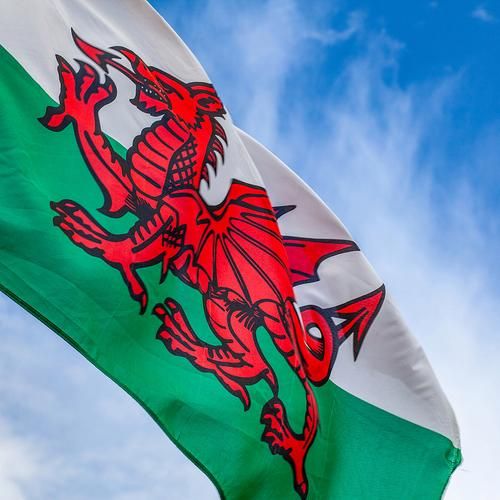 紅龍旗經典配色推薦，紅龍旗的經典配色推薦