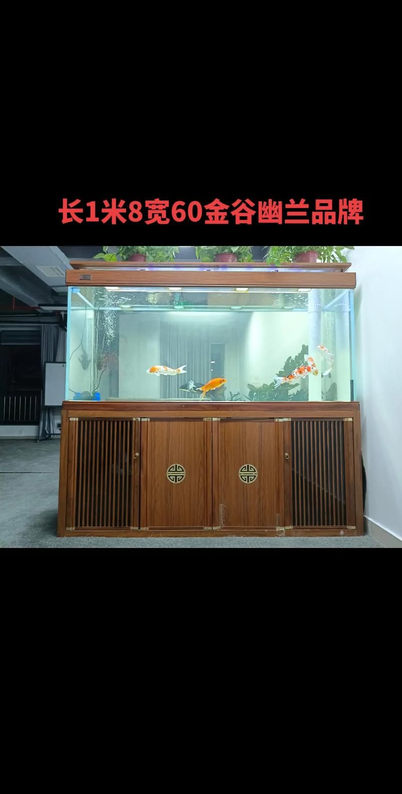 龍魚缸尺寸有哪些推薦品牌，龍魚缸尺寸推薦品牌包括：
