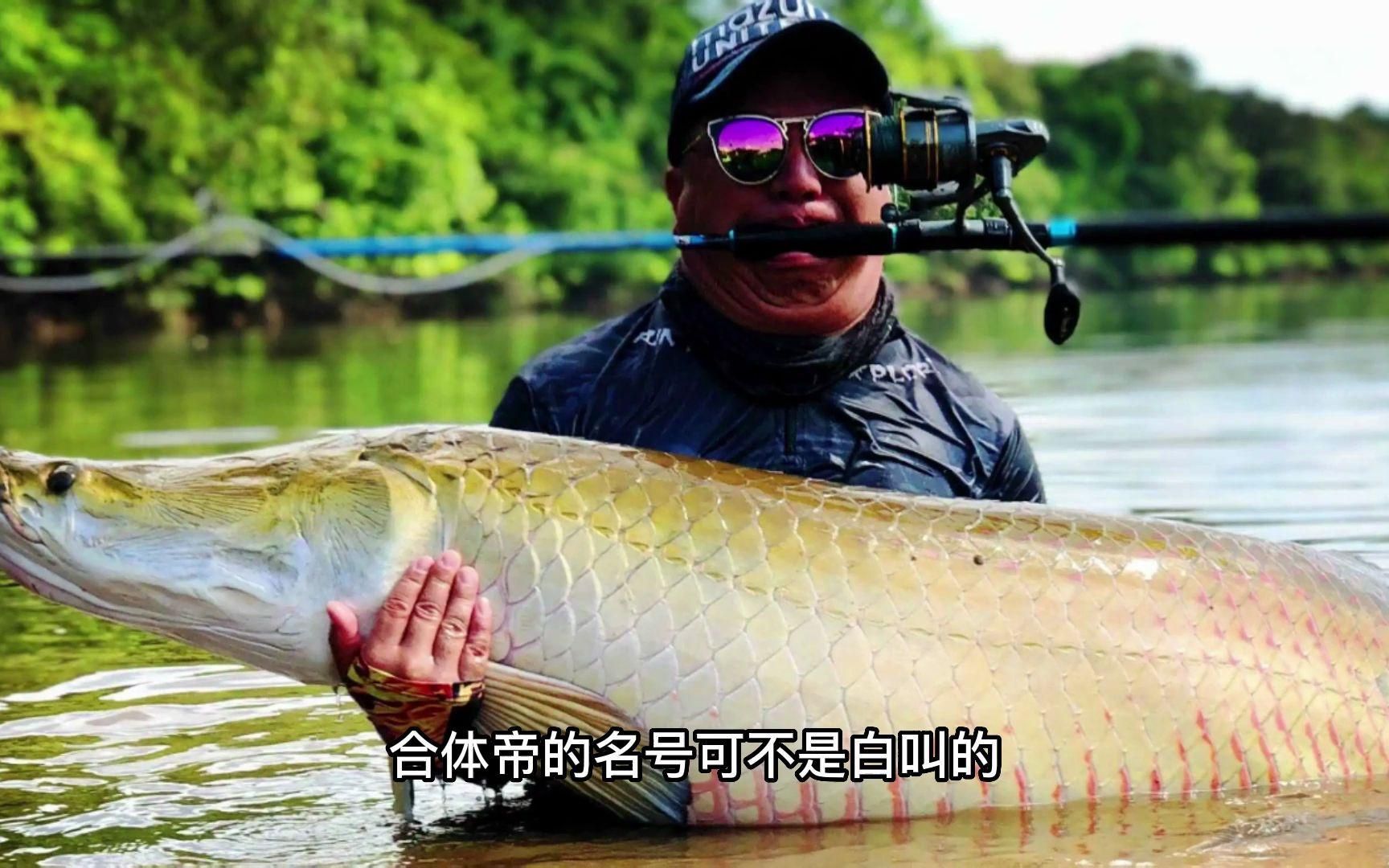 哪些鱼不适合放在鱼缸中，哪些鱼不适合放在鱼缸中，不适合养在鱼缸中的观赏鱼