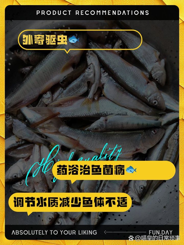 有哪些药物可以治疗龙鱼蹭缸抖鳍，有哪些药物可以治疗龙鱼蹭缸抖鳍调用工具百度健康-去问诊