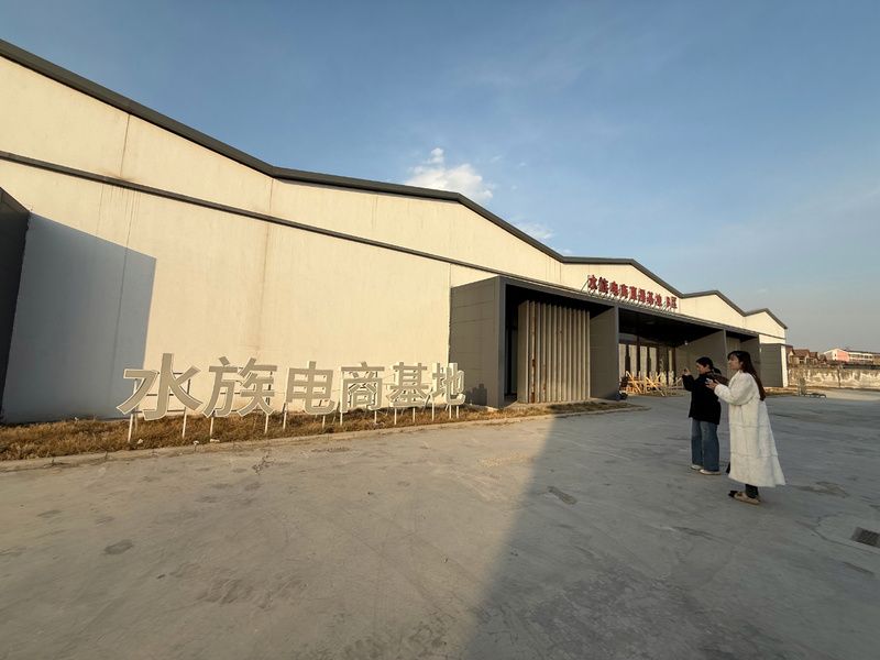 宣城龍魚養殖成本是多少，宣城龍魚養殖成本