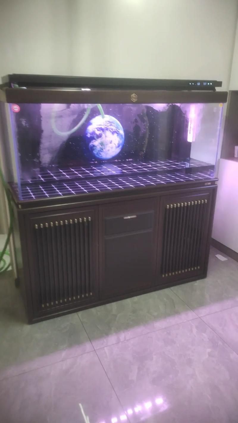 能否推薦幾款適合龍魚苗的魚缸,幾款適合龍魚苗的魚缸推薦 龍魚百科 第3張 能否推薦幾款適合龍魚苗的魚缸,幾款適合龍魚苗的魚缸推薦 能否推薦幾款適合龍魚苗的魚缸,幾款適合龍魚苗的魚缸推薦 龍魚百科 第3張