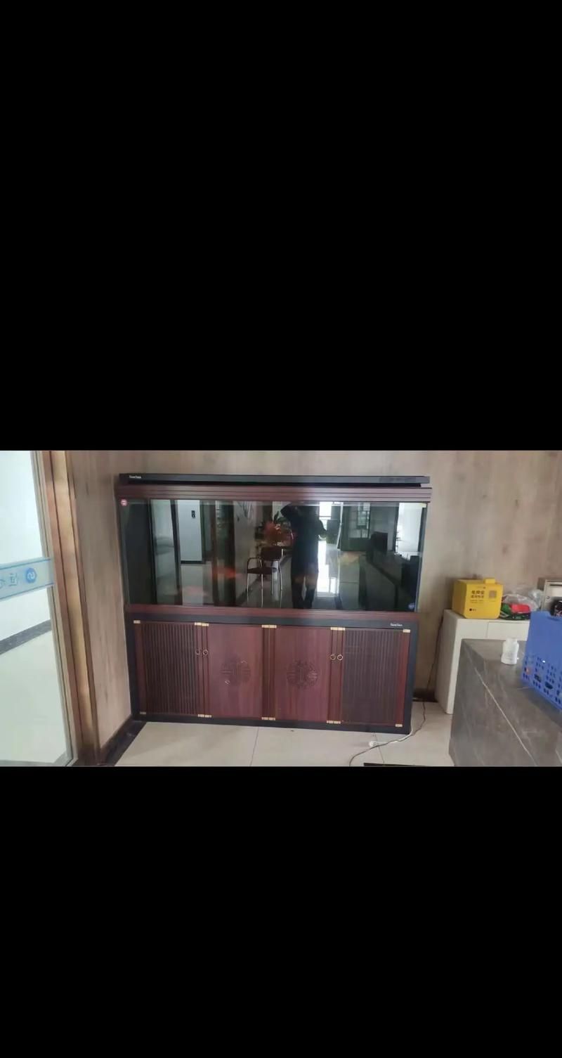 能否推薦幾款適合龍魚苗的魚缸,幾款適合龍魚苗的魚缸推薦 龍魚百科 第6張 能否推薦幾款適合龍魚苗的魚缸,幾款適合龍魚苗的魚缸推薦 能否推薦幾款適合龍魚苗的魚缸,幾款適合龍魚苗的魚缸推薦 龍魚百科 第6張