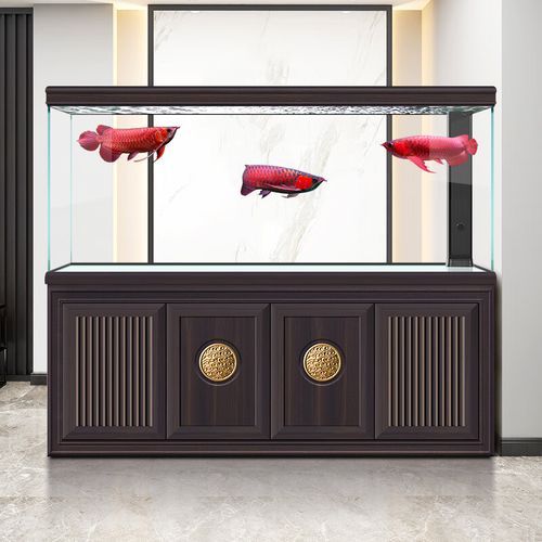 能否推薦幾款適合龍魚苗的魚缸,幾款適合龍魚苗的魚缸推薦 龍魚百科 第12張 能否推薦幾款適合龍魚苗的魚缸,幾款適合龍魚苗的魚缸推薦 能否推薦幾款適合龍魚苗的魚缸,幾款適合龍魚苗的魚缸推薦 龍魚百科 第12張