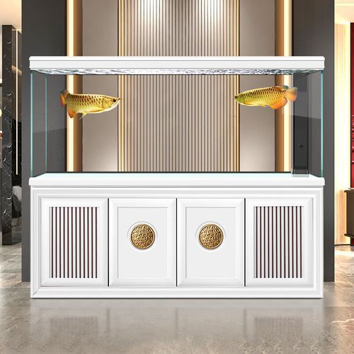 能否推薦幾款適合龍魚苗的魚缸,幾款適合龍魚苗的魚缸推薦 龍魚百科 第11張 能否推薦幾款適合龍魚苗的魚缸,幾款適合龍魚苗的魚缸推薦 能否推薦幾款適合龍魚苗的魚缸,幾款適合龍魚苗的魚缸推薦 龍魚百科 第11張