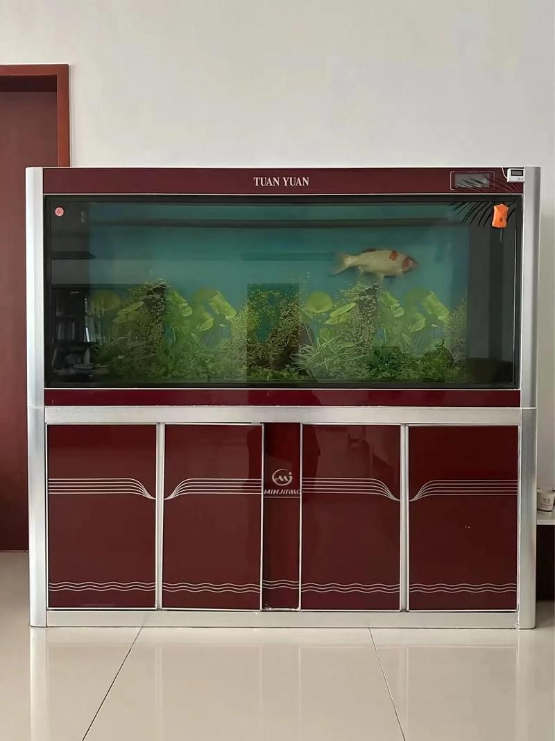 能否推薦幾款適合龍魚苗的魚缸,幾款適合龍魚苗的魚缸推薦 龍魚百科 第13張 能否推薦幾款適合龍魚苗的魚缸,幾款適合龍魚苗的魚缸推薦 能否推薦幾款適合龍魚苗的魚缸,幾款適合龍魚苗的魚缸推薦 龍魚百科 第13張