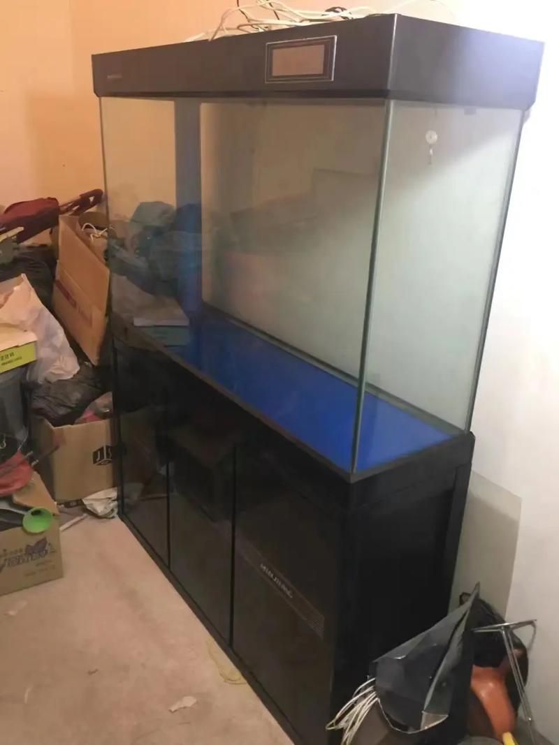 能否推薦幾款適合龍魚苗的魚缸,幾款適合龍魚苗的魚缸推薦 龍魚百科 第15張 能否推薦幾款適合龍魚苗的魚缸,幾款適合龍魚苗的魚缸推薦 能否推薦幾款適合龍魚苗的魚缸,幾款適合龍魚苗的魚缸推薦 龍魚百科 第15張