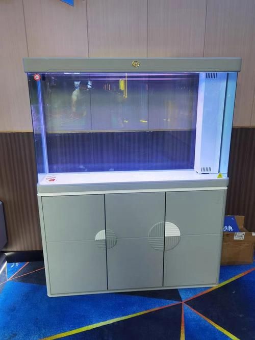 能否推薦幾款適合龍魚苗的魚缸,幾款適合龍魚苗的魚缸推薦 龍魚百科 第16張 能否推薦幾款適合龍魚苗的魚缸,幾款適合龍魚苗的魚缸推薦 能否推薦幾款適合龍魚苗的魚缸,幾款適合龍魚苗的魚缸推薦 龍魚百科 第16張