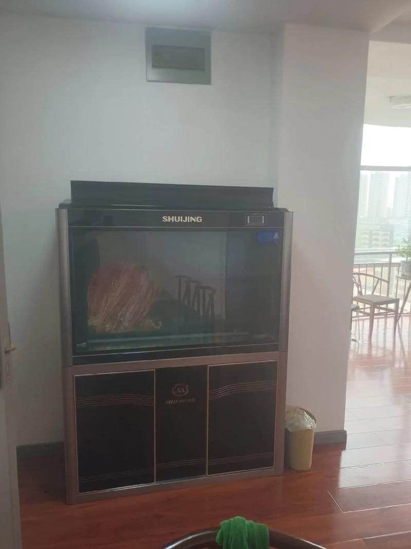 能否推薦幾款適合龍魚苗的魚缸,幾款適合龍魚苗的魚缸推薦 龍魚百科 第17張 能否推薦幾款適合龍魚苗的魚缸,幾款適合龍魚苗的魚缸推薦 能否推薦幾款適合龍魚苗的魚缸,幾款適合龍魚苗的魚缸推薦 龍魚百科 第17張