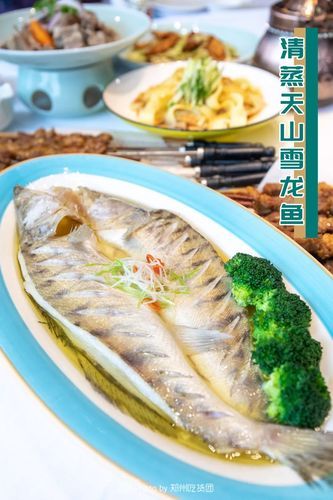 給我一些天山雪龍魚的食譜圖片 龍魚百科 第2張 給我一些天山雪龍魚的食譜圖片 給我一些天山雪龍魚的食譜圖片 龍魚百科 第2張