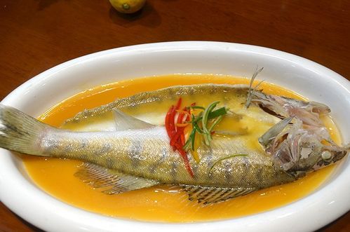 給我一些天山雪龍魚的食譜圖片 龍魚百科 第4張 給我一些天山雪龍魚的食譜圖片 給我一些天山雪龍魚的食譜圖片 龍魚百科 第4張