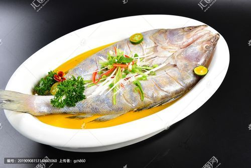 給我一些天山雪龍魚的食譜圖片 龍魚百科 第5張 給我一些天山雪龍魚的食譜圖片 給我一些天山雪龍魚的食譜圖片 龍魚百科 第5張