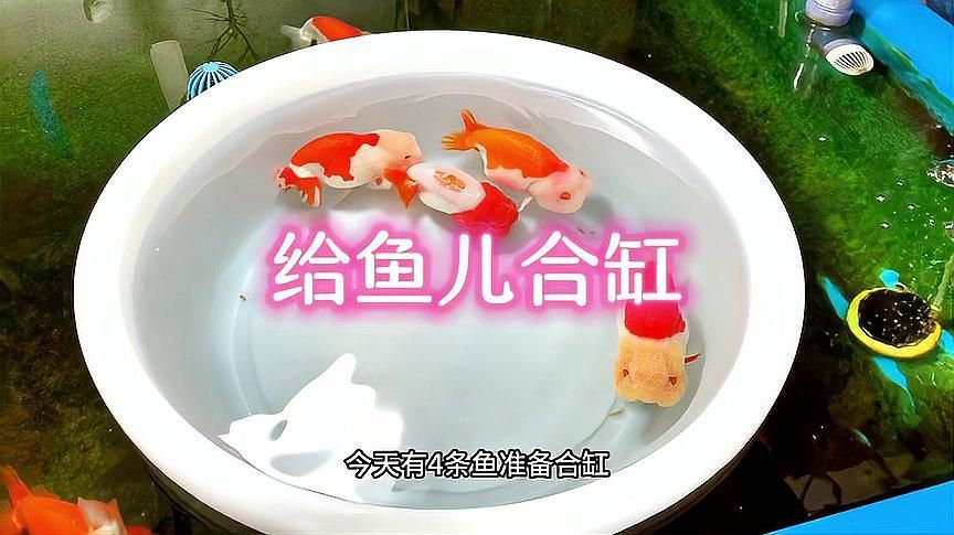 合缸前需要做哪些準備工作，合缸前準備工作的詳細指南