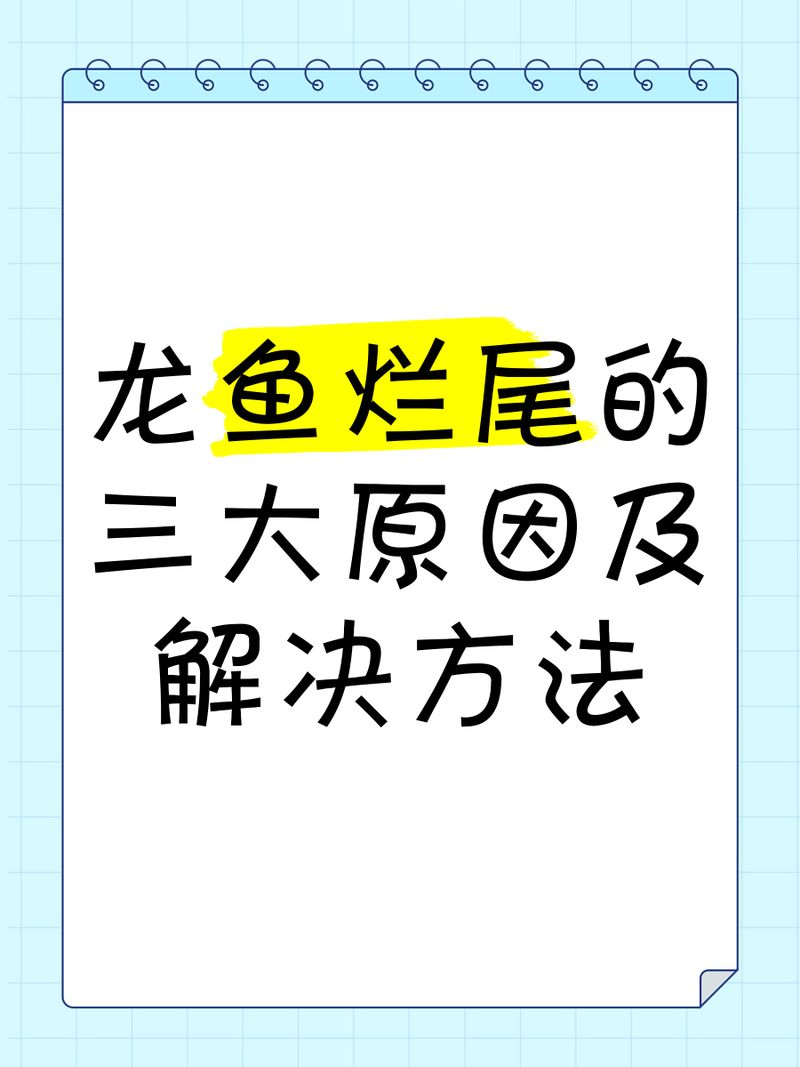 龙鱼尾巴烂了会自愈吗，龙鱼尾巴烂了会自愈吗,
