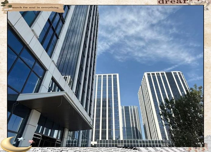 能提供更多关于这些项目的信息吗？