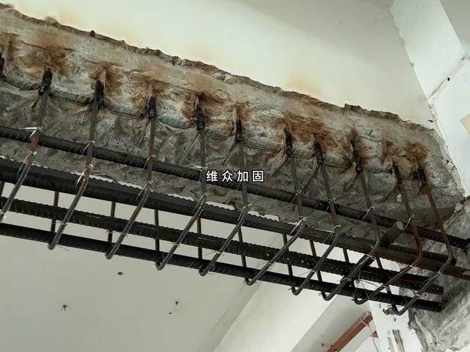 如何选择适合的建筑加固方案？