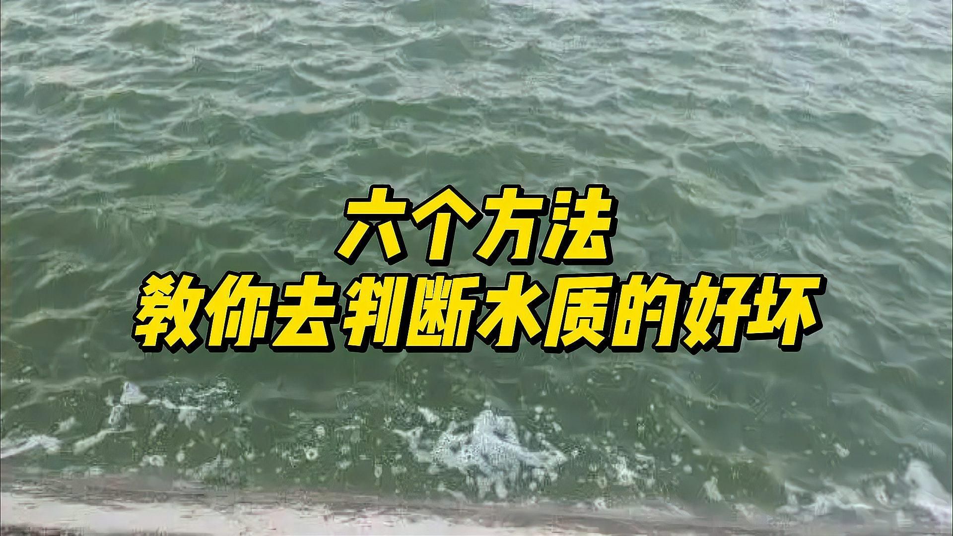 如何判斷龍魚缸水質是否良好？，如何判斷魚缸水質好壞