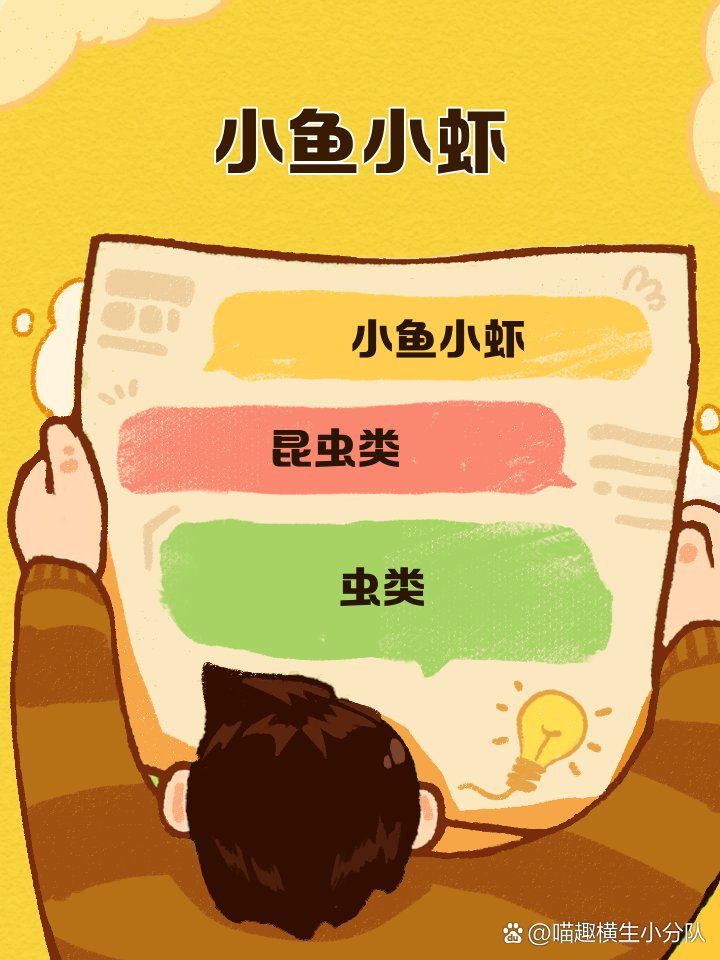 金龍魚應該喂什么食物，如何搭配金龍魚的食物？