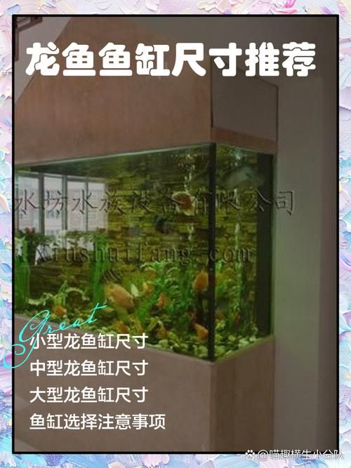 龍魚魚缸長度和寬度如何選擇，養龍魚需要多大的魚缸？ 龍魚魚缸長度和寬度如何選擇，養龍魚需要多大的魚缸？ 龍魚百科 第1張