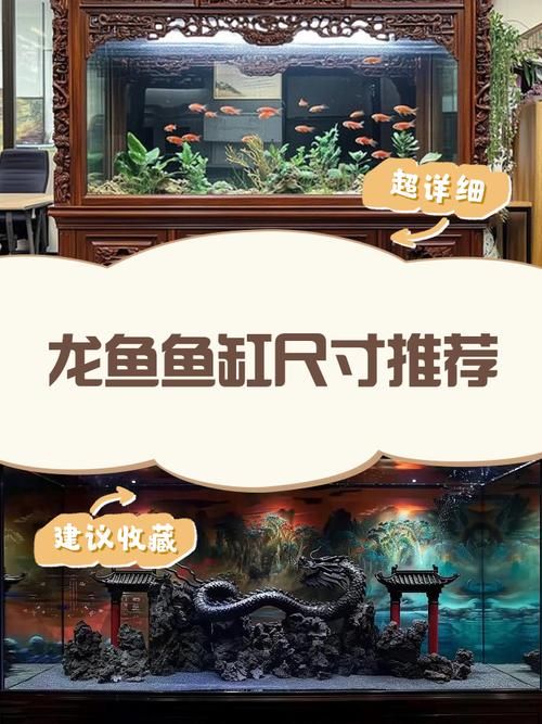 龍魚魚缸長度和寬度如何選擇，養龍魚需要多大的魚缸？ 龍魚魚缸長度和寬度如何選擇，養龍魚需要多大的魚缸？ 龍魚百科 第2張