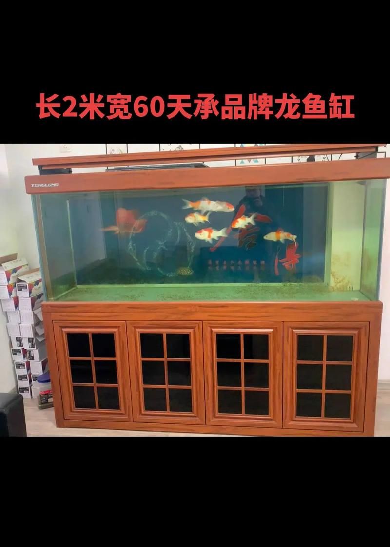 龍魚魚缸長度和寬度如何選擇，養龍魚需要多大的魚缸？ 龍魚魚缸長度和寬度如何選擇，養龍魚需要多大的魚缸？ 龍魚百科 第3張