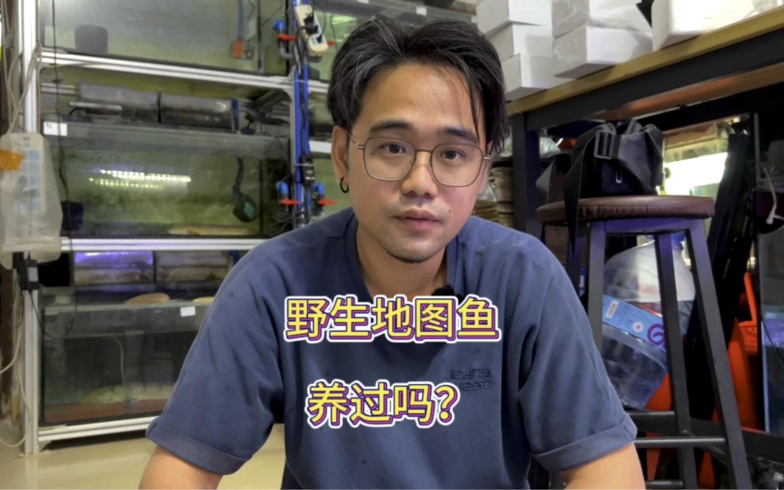 如何判斷地圖魚是否野生？，判斷地圖魚是否野生地圖魚是否野生地圖魚是否野生