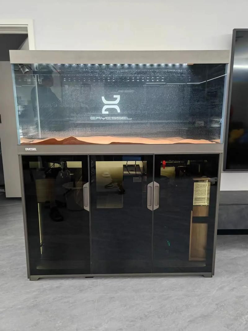 彩蝶和久鼎哪個更值得購買？ 彩蝶和久鼎哪個更值得購買？ 龍魚百科 第4張