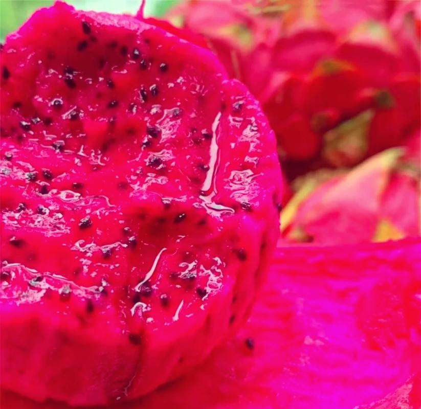 紅龍超血和辣椒哪個(gè)更營(yíng)養(yǎng)，“紅龍超血”與“辣椒”的營(yíng)養(yǎng)成分哪個(gè)更營(yíng)養(yǎng)