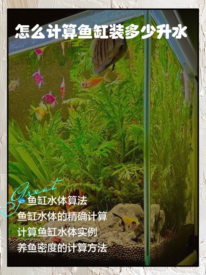 如何计算龙鱼缸的水量？，如何计算龙鱼缸的水量（单位：升）以下公式计算方法