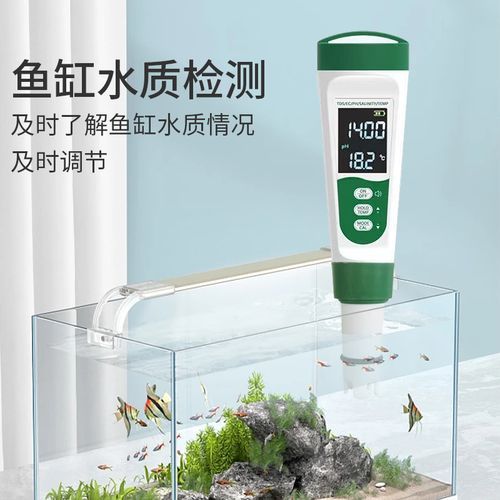 如何預防錦鯉爛尾爛鰭復發