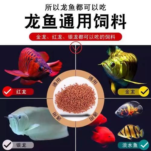 如何購(gòu)買(mǎi)祥龍魚(yú)場(chǎng)的龍魚(yú)魚(yú)食？，如何購(gòu)買(mǎi)祥龍魚(yú)場(chǎng)的魚(yú)食