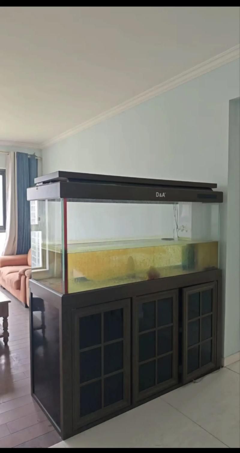 有沒有具體的龍魚缸尺寸圖片？，龍魚缸尺寸圖片