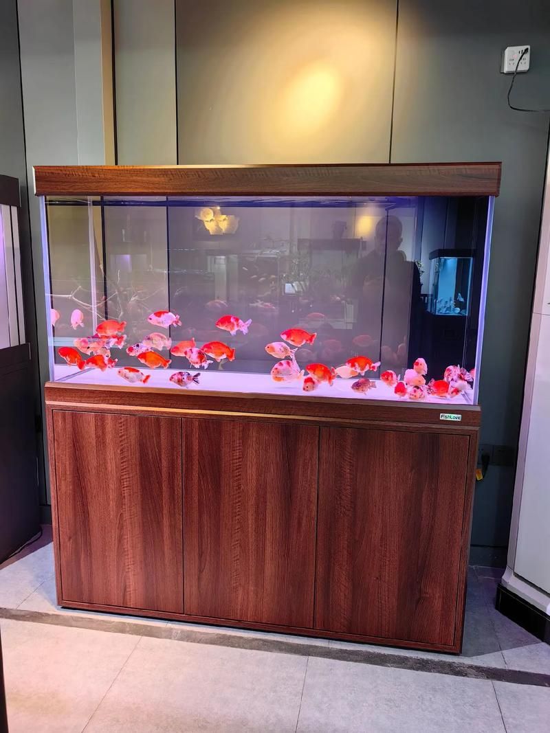 有沒有具體的龍魚缸尺寸圖片？，龍魚缸尺寸圖片