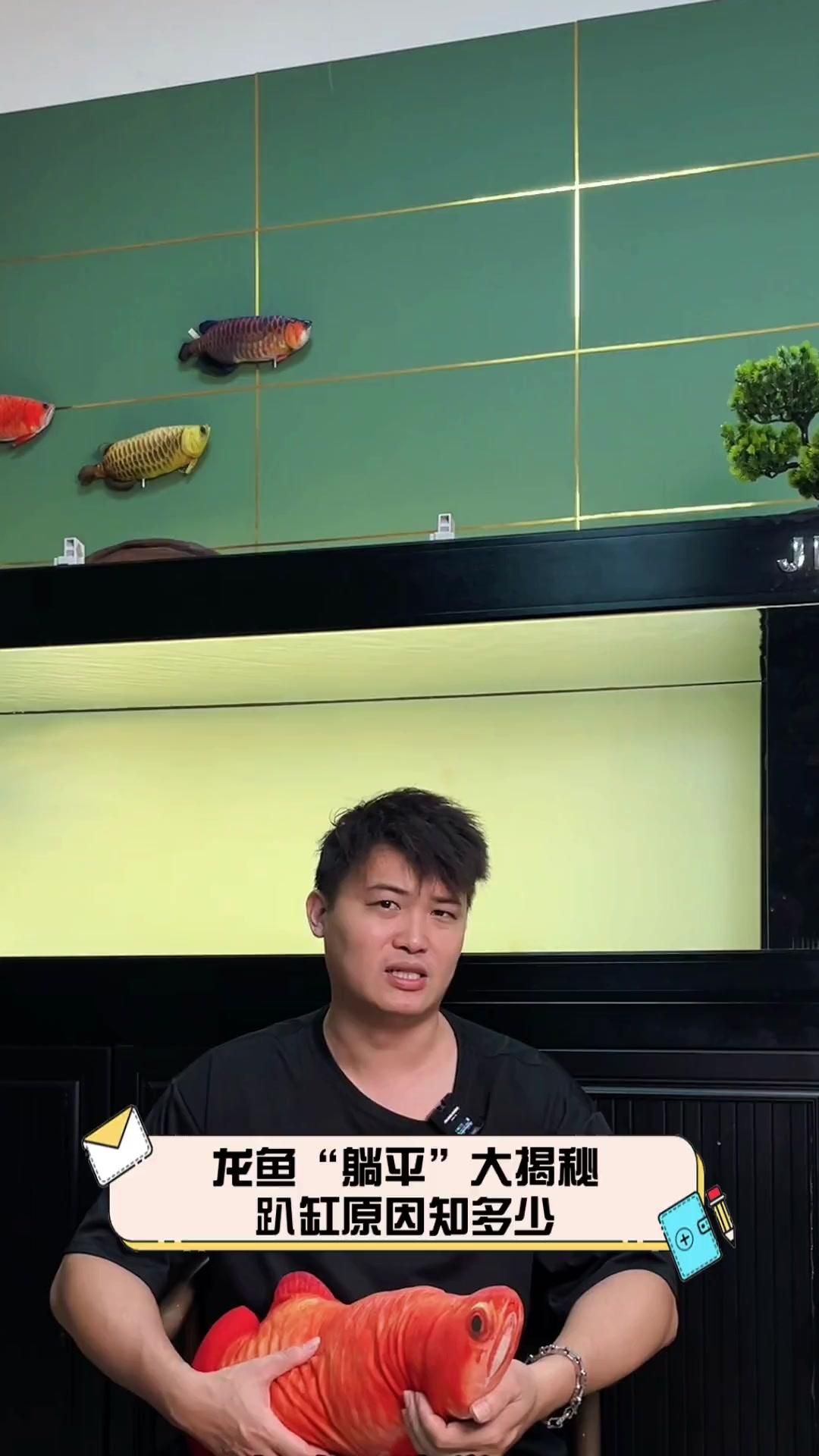龍魚趴缸不動是常見現象嗎，龍魚“躺平”大揭秘，趴缸原因知多少