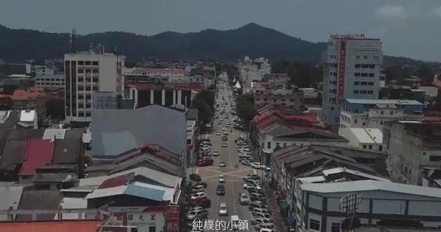 祥龍魚場提供哪些種類的龍魚？，祥龍魚場主流龍魚品種對比表，