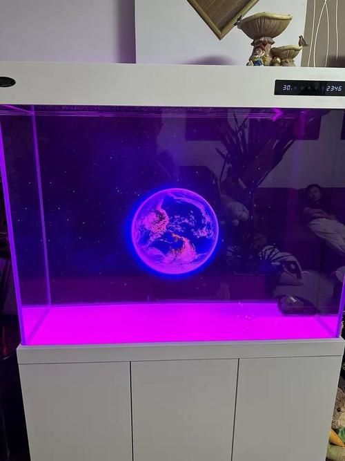 如何判斷龍魚魚缸的耐用性？，龍魚魚缸耐用性直接關系到養魚安全、家居安全以及長期使用成本