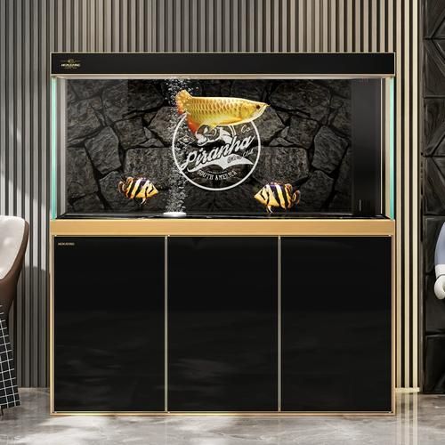 如何判斷龍魚魚缸的耐用性？，龍魚魚缸耐用性直接關系到養魚安全、家居安全以及長期使用成本