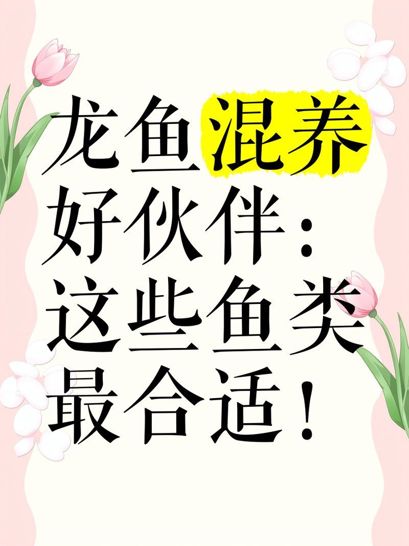 龍魚配什么魚最有觀賞價值？ 龍魚配什么魚最有觀賞價值？ 龍魚百科 第2張