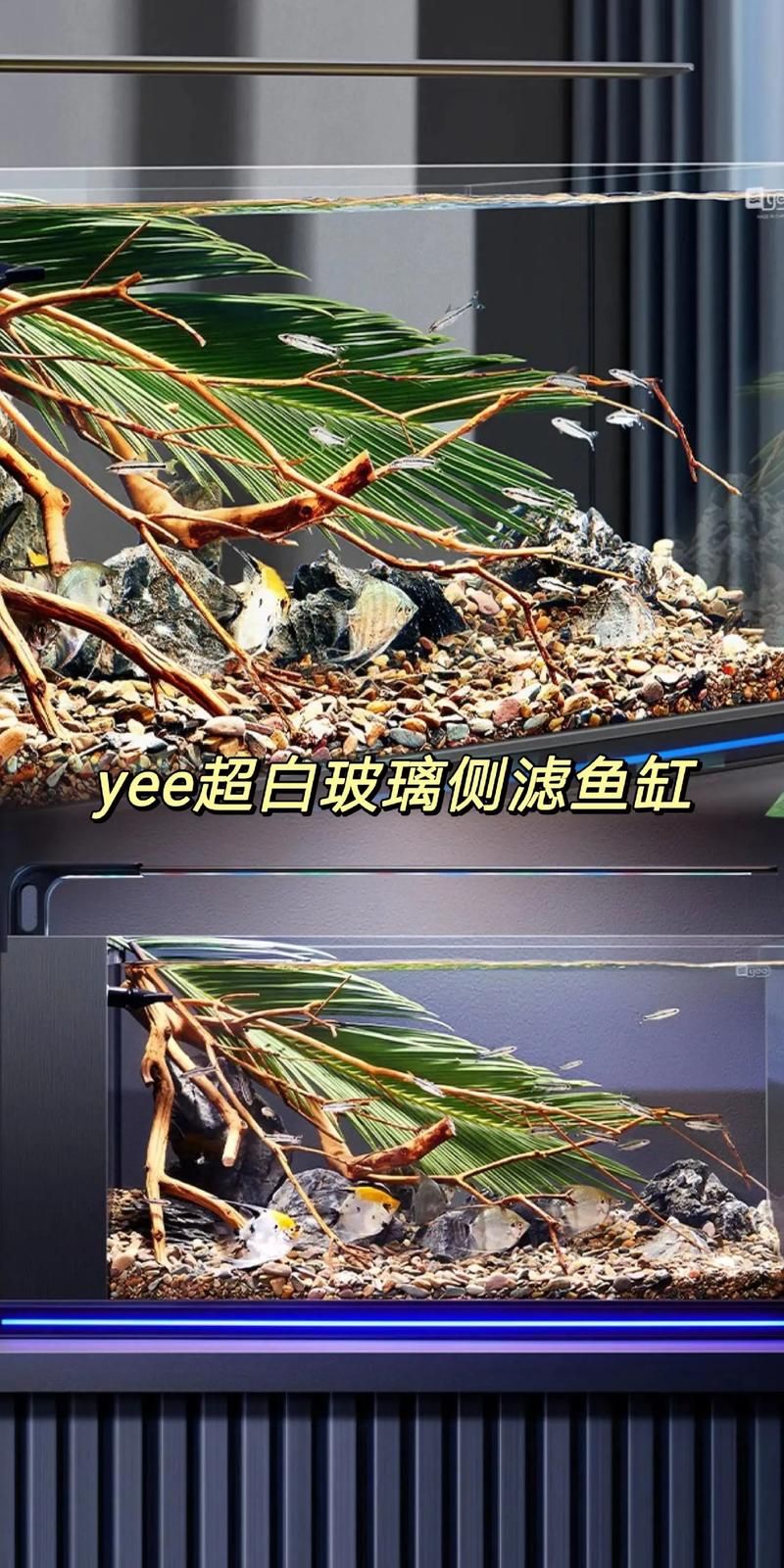 如何判斷龍魚缸是否超白玻璃?,如何辨別超白玻璃魚缸?