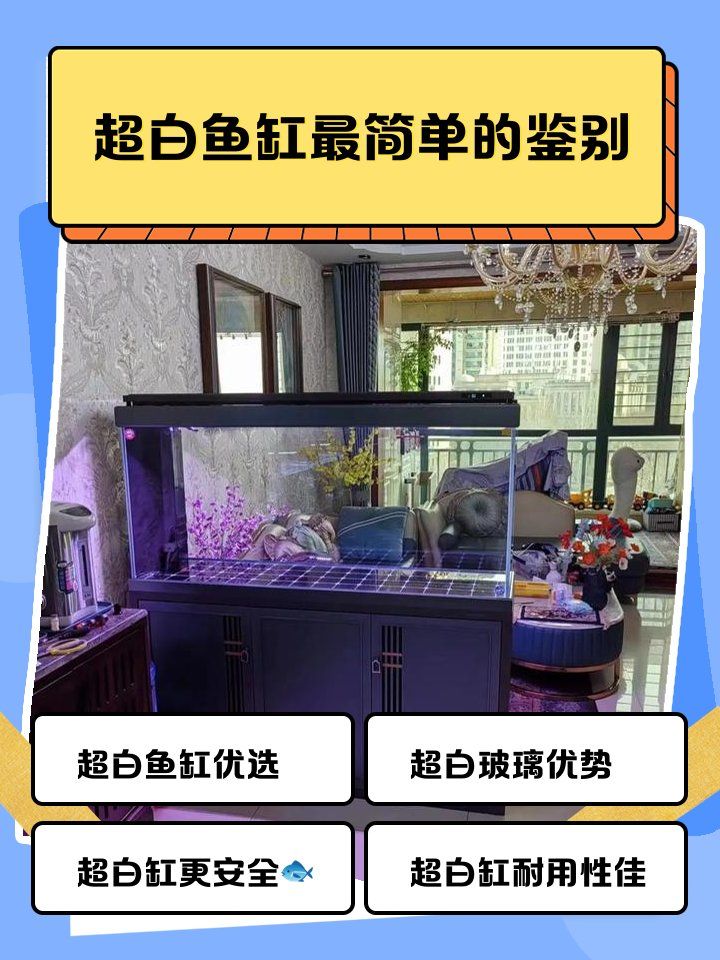 如何判斷龍魚缸是否超白玻璃？，如何辨別超白玻璃魚缸？