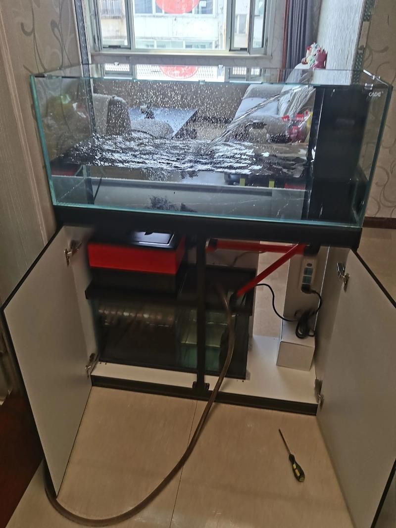 彩鲽和森森哪个品牌更好？，彩鲽和森森哪个品牌好