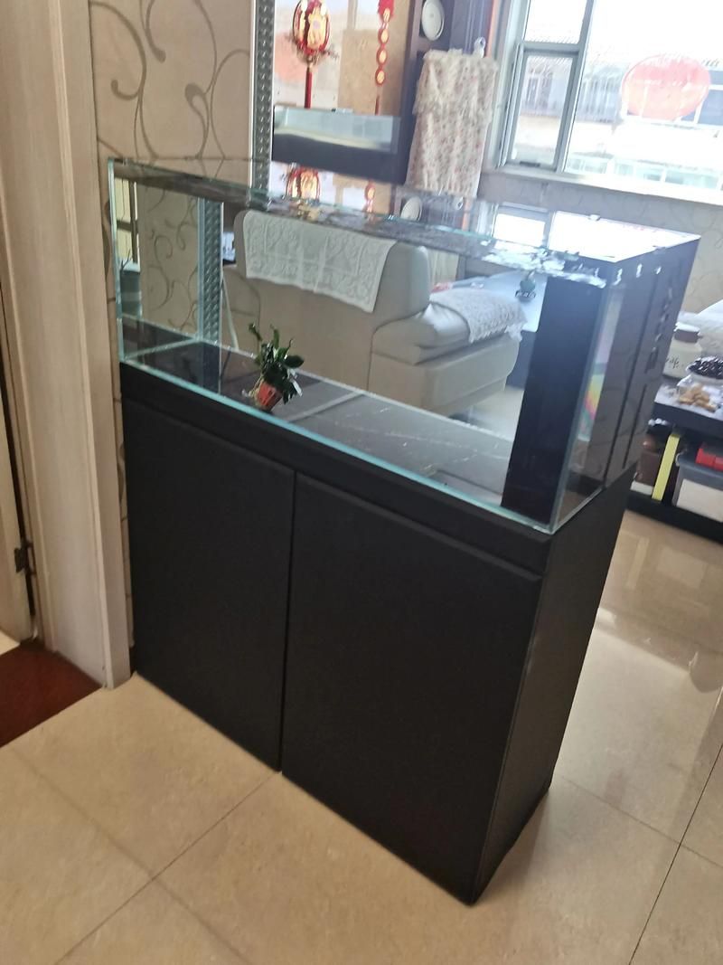 彩鲽和森森哪个品牌更好？，彩鲽和森森哪个品牌好