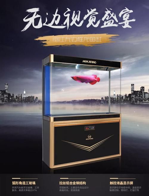 閩江水族有哪些熱門型號？，閩江水族養殖業的重要組成部分材料組合，閩江水族品種