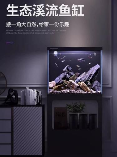 閩江水族有哪些熱門型號？，閩江水族養殖業的重要組成部分材料組合，閩江水族品種